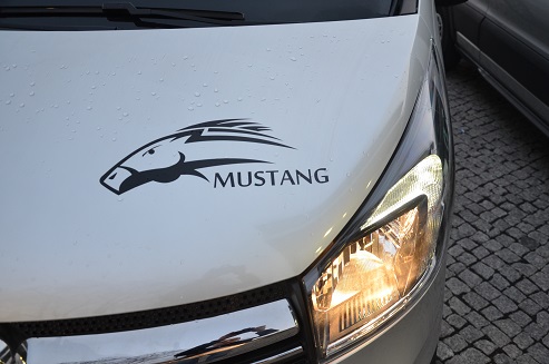 ! od 55 € ! Mustang Przewozy Osobowe ! od 55 € ! 