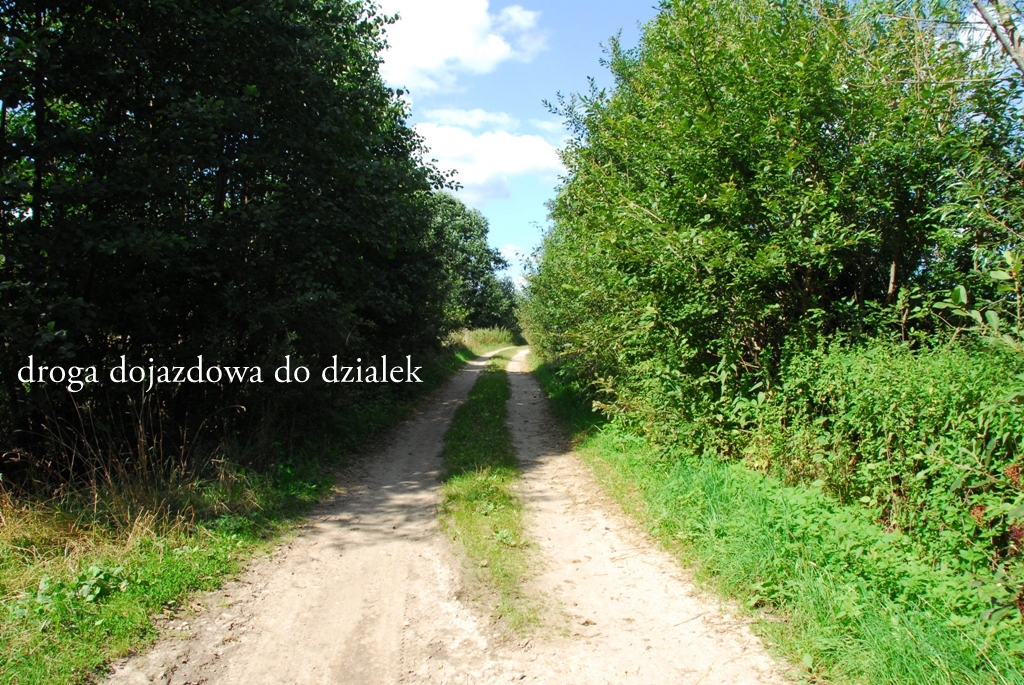 Na sprzedaż działka na Mazurach z linią brzegową jeziora