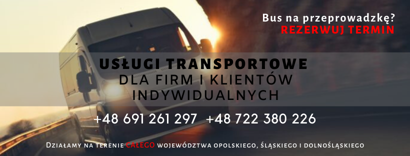 Usługi transportowe POLSKA-NIEMCY-HOLANDIA przeprowadzki transport materiałów budowlanych